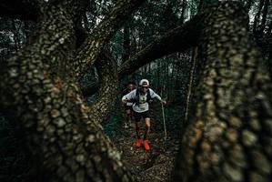 BIB: 
                            <button type="button" onclick="openModal(25692146)" class="btn btn-primary btn-sm float-right btn-popup" data-toggle="modal" data-target=".modal-high-quality">
                        <i class="fas fa-shopping-cart"></i> Add to Cart
                    </button>
                                            <button type="button" onclick="isThisMe(25692146, true)" class="btn btn-success btn-sm float-right btn-popup btn-isme hidden" data-toggle="tooltip" data-placement="bottom" title="นี่คือรูปของคุณใช่ไหม คลิกที่นี่เพื่อเอาเข้าอัลบั้ม">
                        <i class="fas fa-plus"></i> Add to album
                    </button>
                    <button type="button" onclick="isThisMe(25692146, false)" class="btn btn-warning btn-sm float-right btn-popup btn-isnotme hidden">
                        <i class="fas fa-ban"></i> Remove from album
                    </button>